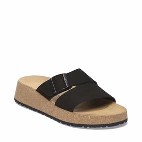 Sidewalk Ready Classic Line Birkenstock Women's Almina Slide Sandal in Black