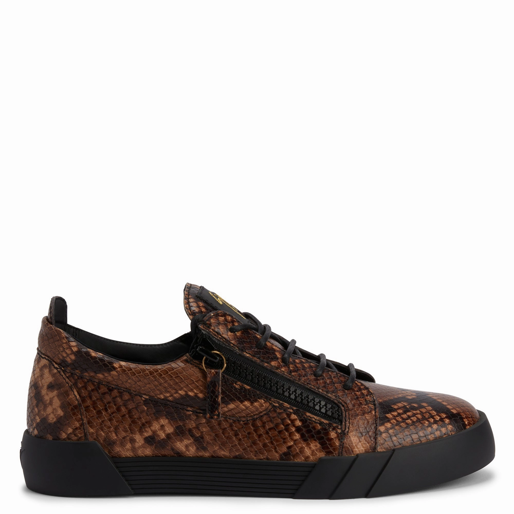 rock - climbing running shoes Giuseppe Zanotti The Shark 5.0 Low