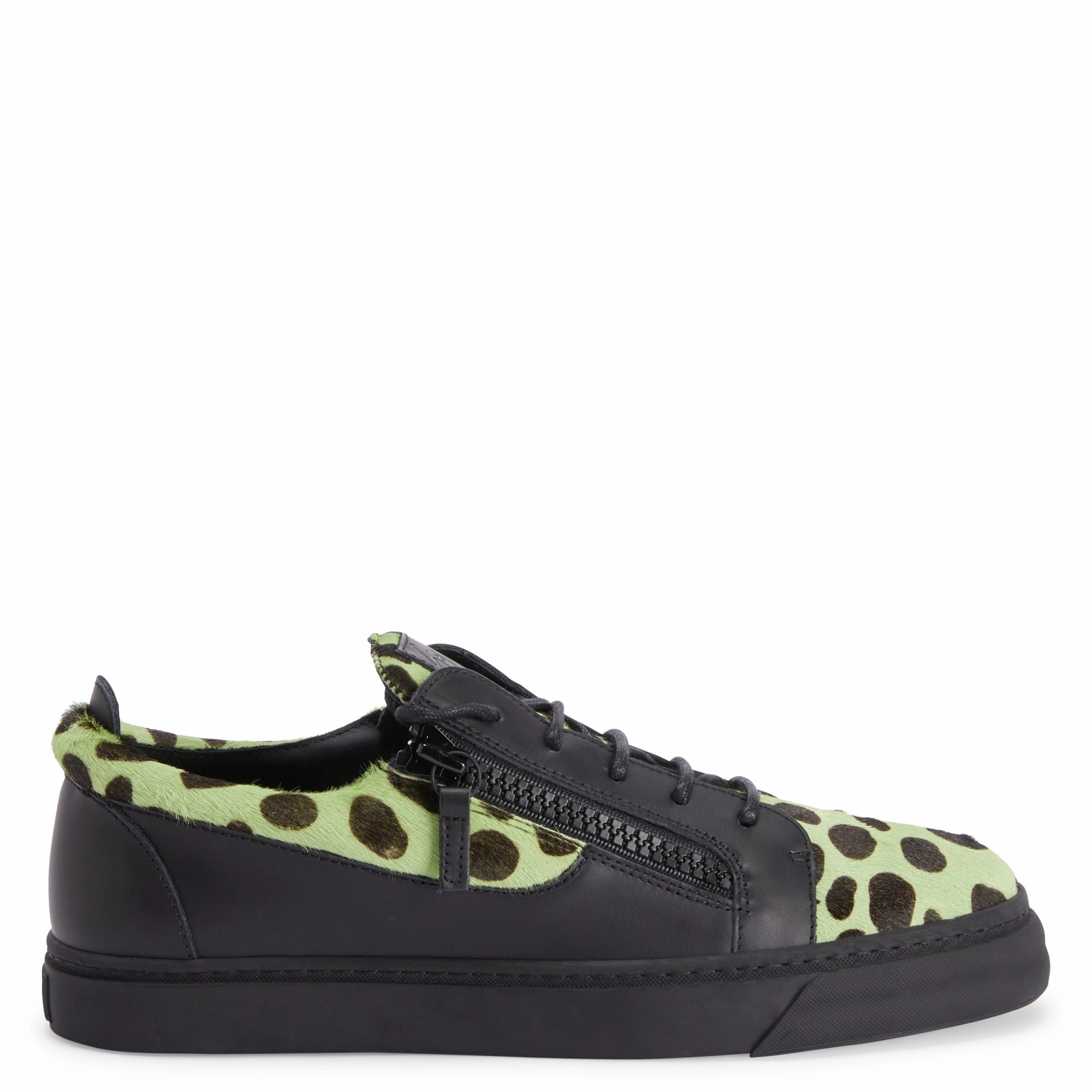 Giuseppe Zanotti Frankie advanced