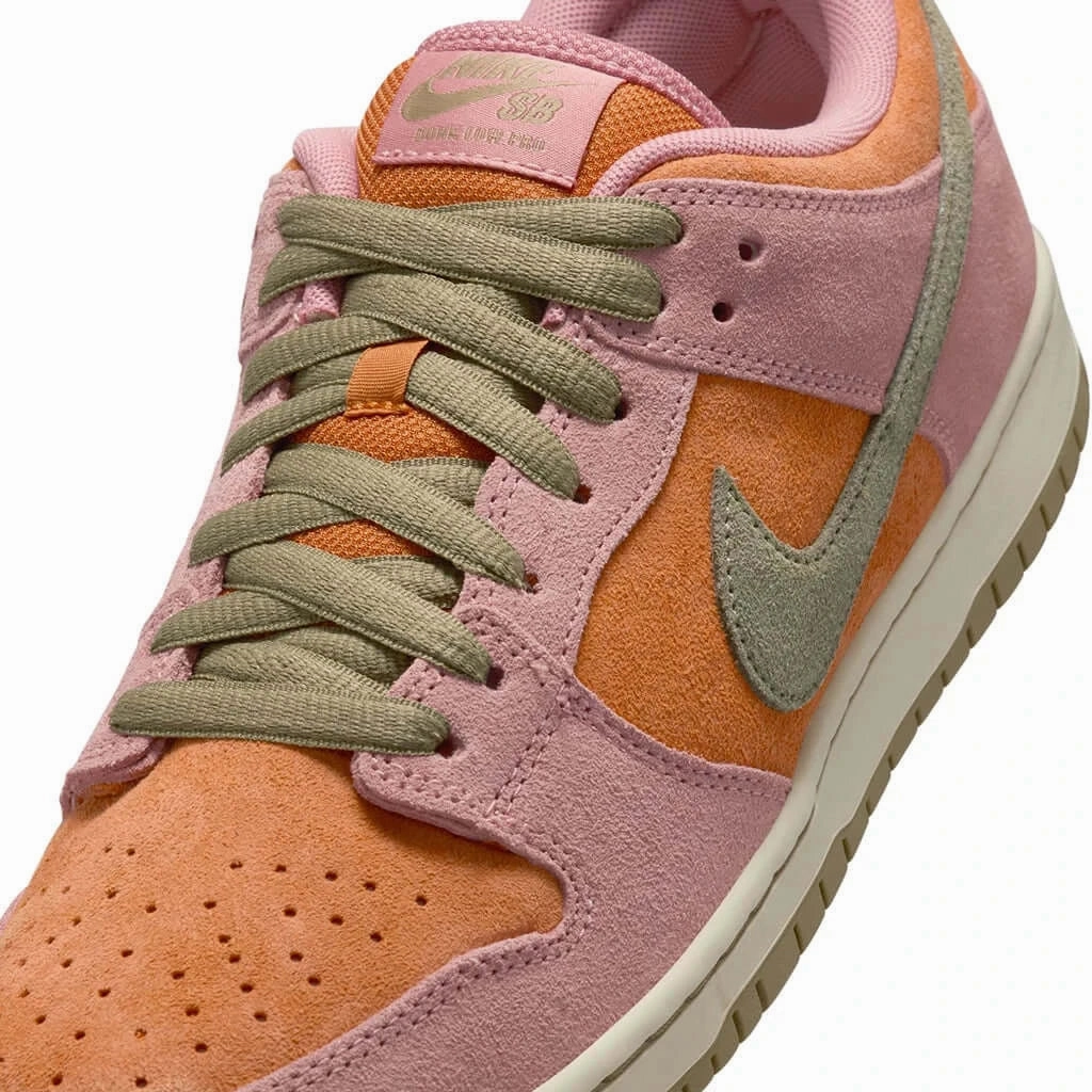 Weather Ready Active Motion Nike SB Dunk Low Pro