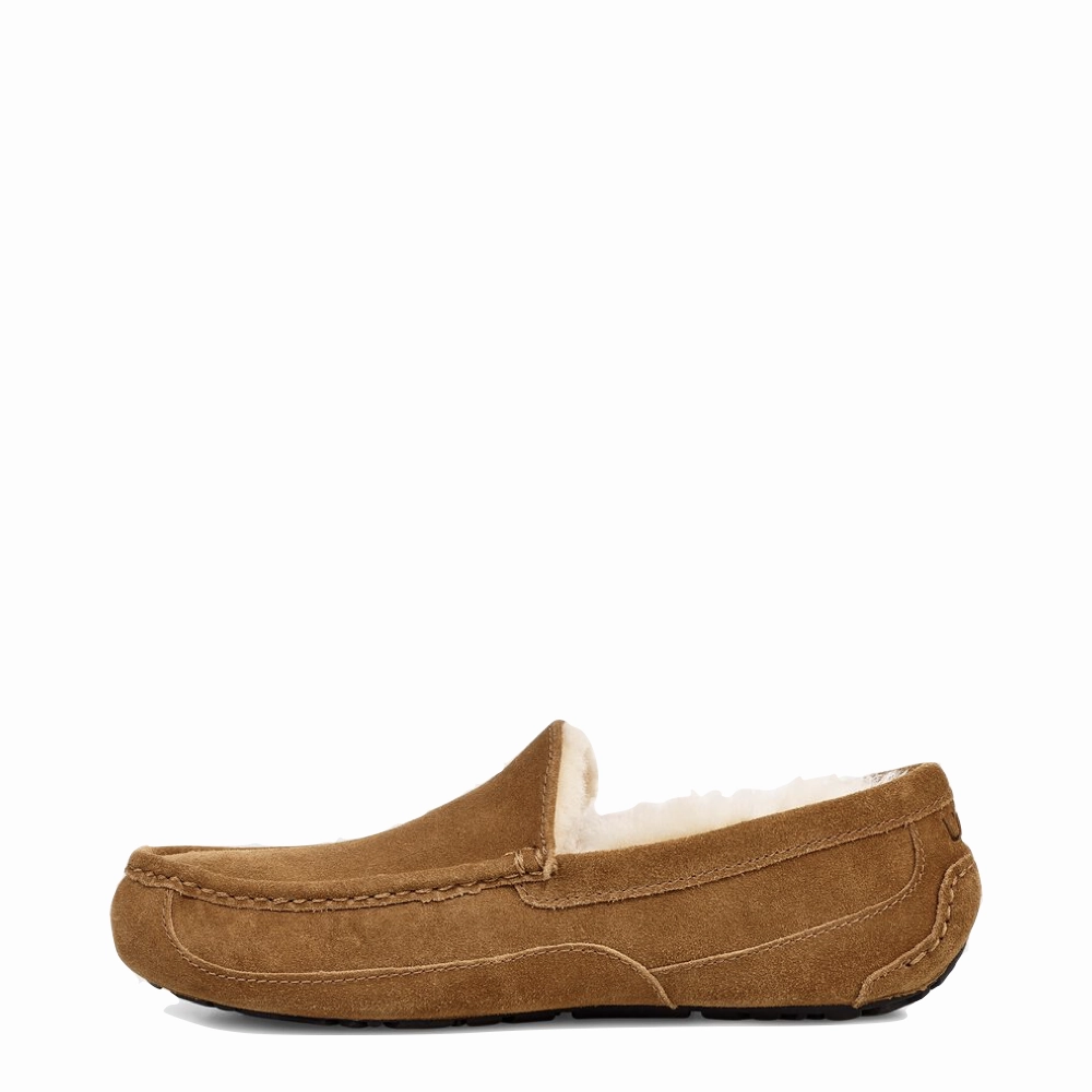 UGG Men's Ascot Suede Moccasin Slipper in Chestnut Beachside Footwear Sleek And Comfy