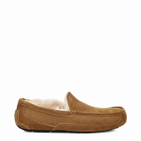 Soft Comfort Easy Fit Walk UGG Men's Ascot Suede Moccasin Slipper in Chestnut