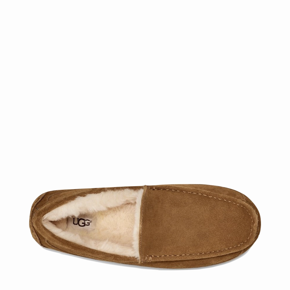 UGG Men's Ascot Suede Moccasin Slipper in Chestnut Perfect For Relaxation